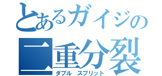 とあるガイジの二重分裂（ダブル スプリット）