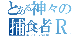 とある神々の捕食者ＲＢ（ゴットイーター　レイジバースト）