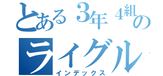 とある３年４組のライグル（インデックス）