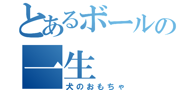 とあるボールの一生（犬のおもちゃ）