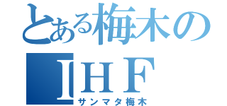 とある梅木のＩＨＦ（サンマタ梅木）