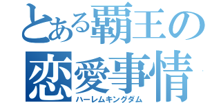 とある覇王の恋愛事情（ハーレムキングダム）