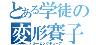 とある学徒の変形賽子（ルービックキューブ）