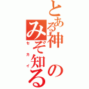 とある神のみぞ知る（セカイ）