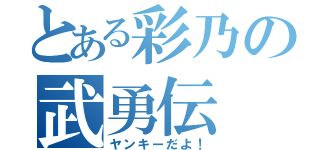 とある彩乃の武勇伝（ヤンキーだよ！）