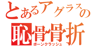 とあるアグラスの恥骨骨折（ボーンクラッシュ）