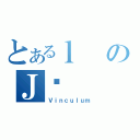 とあるｌのＪƍ（Ｖｉｎｃｕｌｕｍ）