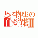 とある栁生の自宅待機Ⅱ（パソコン）