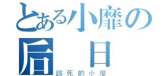 とある小靡の后宮日記（該死的小靡）