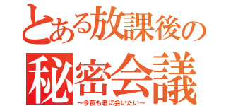 とある放課後の秘密会議（～今夜も君に会いたい～）