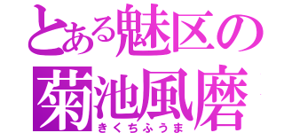 とある魅区の菊池風磨（きくちふうま）