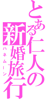 とある仁人の新婚旅行（ハネムーン）