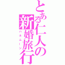 とある仁人の新婚旅行（ハネムーン）