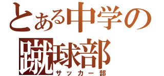 とある中学の蹴球部（サッカー部）