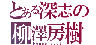 とある深志の柳澤房樹（Ｈｏｕｓｅ ｄｕｓｔ）