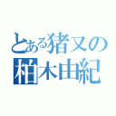 とある猪又の柏木由紀（）