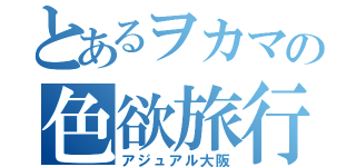 とあるヲカマの色欲旅行（アジュアル大阪）