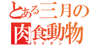 とある三月の肉食動物（ライオン）