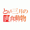 とある三月の肉食動物（ライオン）