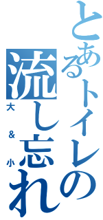 とあるトイレの流し忘れ（大＆小）