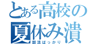 とある高校の夏休み潰し（部活ばっかり）