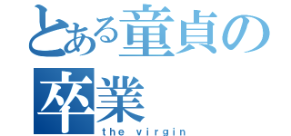 とある童貞の卒業（ｔｈｅ ｖｉｒｇｉｎ）