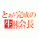 とある完成の生徒会長（黒神めだか）