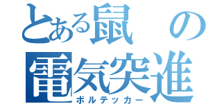 とある鼠の電気突進（ボルテッカー）