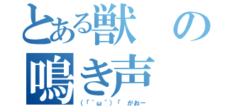 とある獣の鳴き声（（「｀ω´）「 がおー）