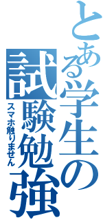 とある学生の試験勉強（スマホ触りません）