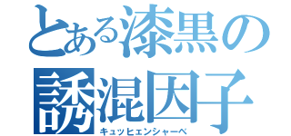 とある漆黒の誘混因子（キュッヒェンシャーベ）