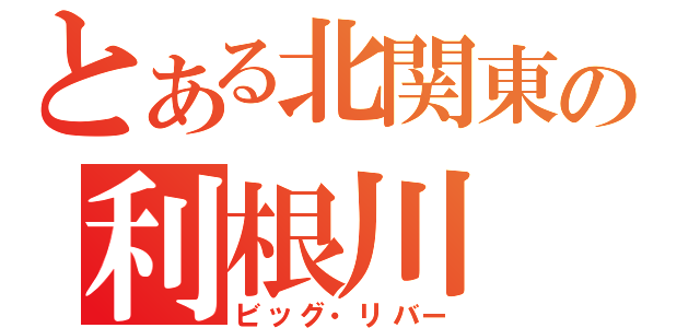 とある北関東の利根川（ビッグ・リバー）