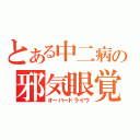 とある中二病の邪気眼覚醒（オーバードライヴ）