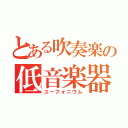 とある吹奏楽の低音楽器（ユーフォニウム）