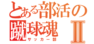 とある部活の蹴球魂Ⅱ（サッカー部）