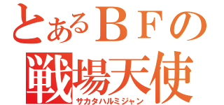 とあるＢＦの戦場天使（サカタハルミジャン）