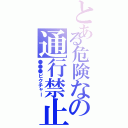 とある危険なの通行禁止（●●●ピクチャー）