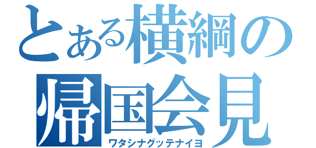 とある横綱の帰国会見（ワタシナグッテナイヨ）