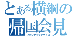 とある横綱の帰国会見（ワタシナグッテナイヨ）