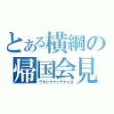 とある横綱の帰国会見（ワタシナグッテナイヨ）