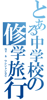 とある中学校の修学旅行（ＮＹ ＆ ワシントンＤＣ）