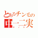 とあるチン毛の中一二実（キノコ）