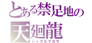 とある禁足地の天廻龍（シャガルマガラ）