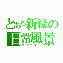 とある新緑の日常風景（ダイアリー）