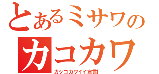 とあるミサワのカコカワ（カッコカワイイ宣言！）