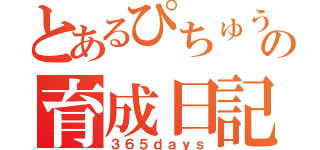 とあるぴちゅうの育成日記（３６５ｄａｙｓ）