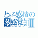 とある感情の多感覚知覚Ⅱ（マルチセンサリスト）