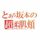 とある坂本の超柔肌頬（フワフワホッペ）