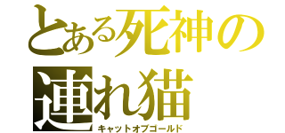 とある死神の連れ猫（キャットオブゴールド）