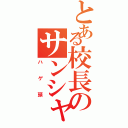 とある校長のサンシャイン（ハゲ頭）